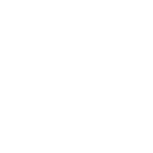icone sécurité
