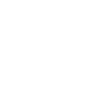 logo rayometal